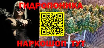соль ск Тара
