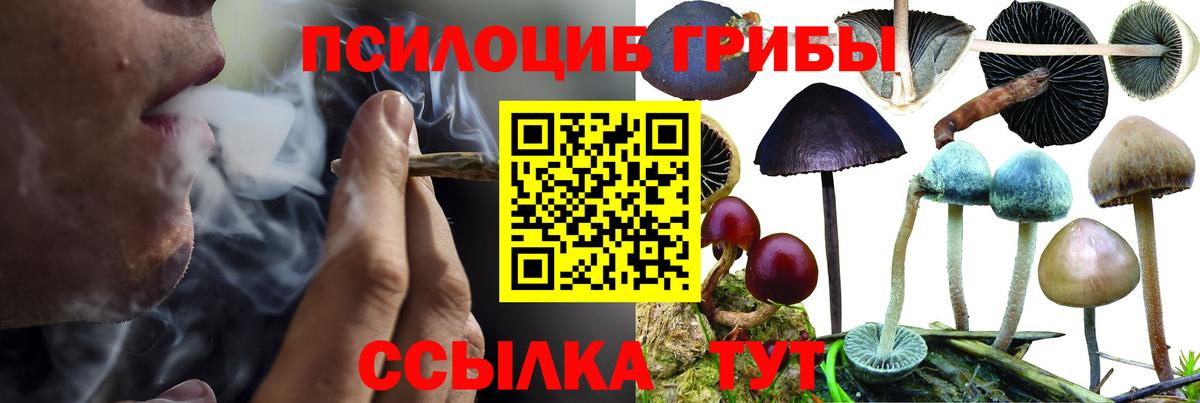 Псилоцибиновые грибы прущие грибы  наркошоп  Тимашёвск  Вход с VPN 